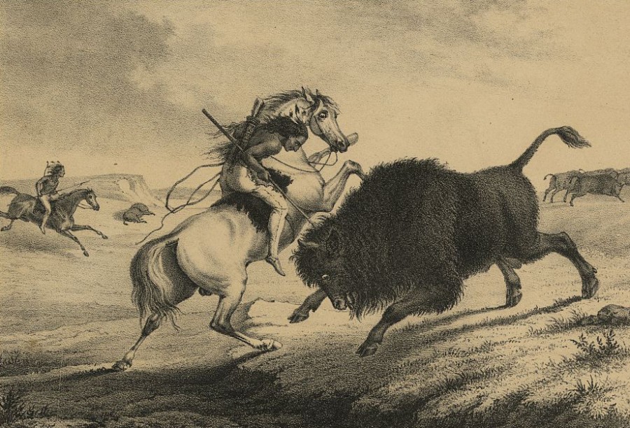 Old Lithograph of Native American spearing bison. This is how promoters promised the Great Buffalo Hunt would look in 1851.