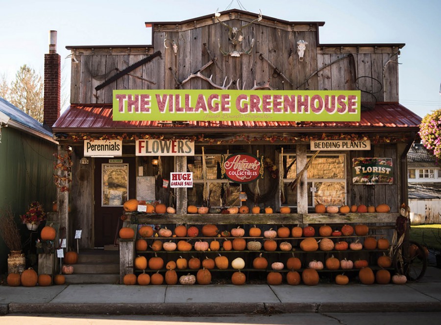 The Village Greenhouse in Gays Mills