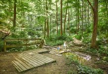 Three of Our Favorite Hiking Trails