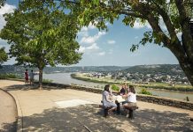 Three Picture-Perfect Picnic Spots