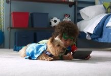 Five Things to Consider When Shopping for Pet-Friendly Flooring