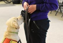 Circle Tail Helps Get Service Dogs to Those Who Need Them
