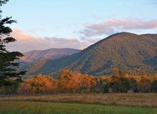 Finding Stillness in the Smokies