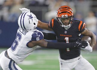 The Bengals Finally Catch a Break
