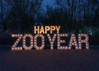 New Year’s Eve Celebrations In The Queen City