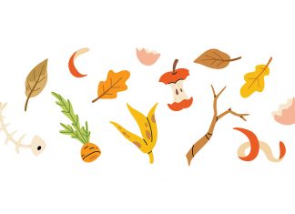 Let’s Break Down Composting