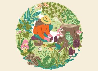 Find Your Way into Foraging