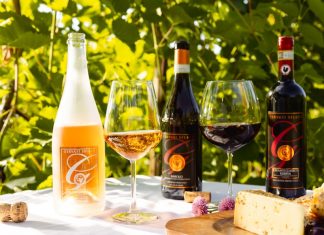 Experience Gervasi Vineyard’s Exclusive Italian Wines