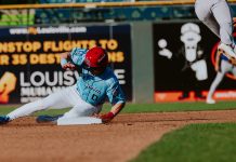 A Minor League Baseball That’s Major League Fun