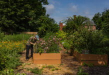 Walnut Hills’s Secret Garden