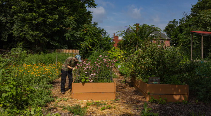 Walnut Hills’ Secret Garden