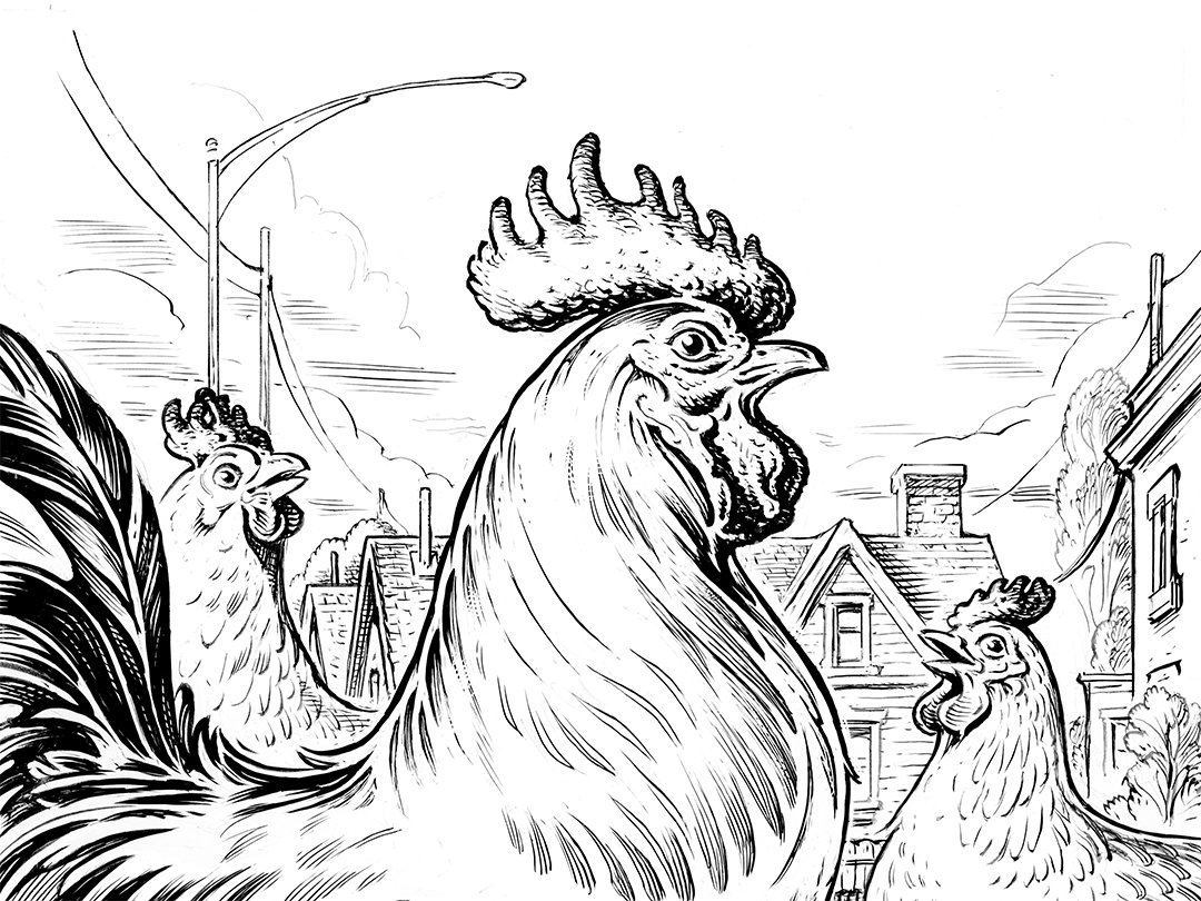 Dr. Know: Chickens, Pet Cemeteries, and Abandoned Theme Parks