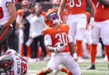 Bengals Fans Love It When a Plan Comes Together
