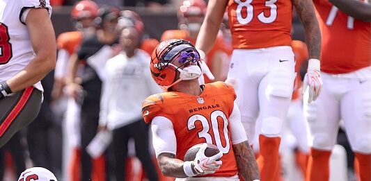 Bengals Fans Love It When a Plan Comes Together
